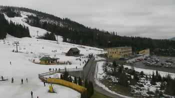 Плай 8 березня 2020 року, 2020-03-08 13:00