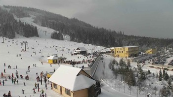 Плай 17 січня 2021 року, 2021-01-17 13:00