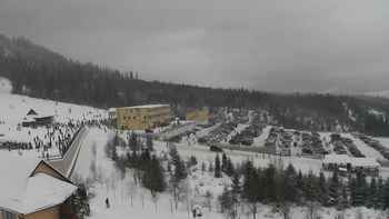 Плай 20 січня 2021 року, 2021-01-20 13:00