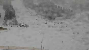 Плай 25 січня 2021 року, 2021-01-25 16:00