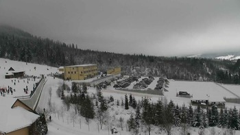 Плай 29 січня 2021 року, 2021-01-29 13:00