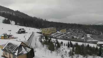 Плай 8 березня 2021 року, 2021-03-08 16:00