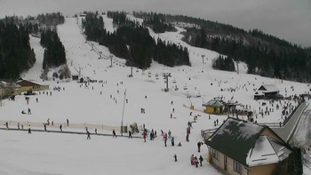 Плай 8 січня 2022 року, 2022-01-08 13:00