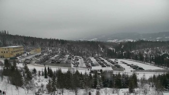 Плай 8 січня 2022 року, 2022-01-08 16:00