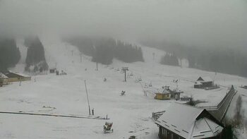 Плай 20 січня 2023 року, 2023-01-20 13:00