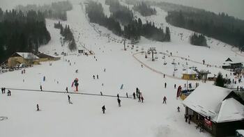 Плай 2 січня 2026 року, 2026-01-02 13:00