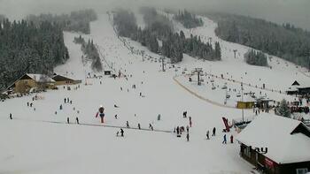 Плай 7 січня 2026 року, 2026-01-07 13:00