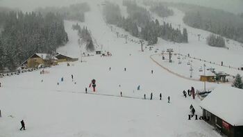 Плай 8 січня 2026 року, 2026-01-08 10:00