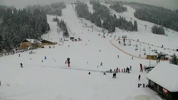 Плай 8 січня 2026 року, 2026-01-08 16:00