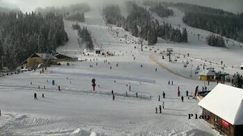 Плай 9 січня 2026 року, 2026-01-09 13:00