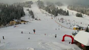 Плай 10 січня 2026 року, 2026-01-10 10:00