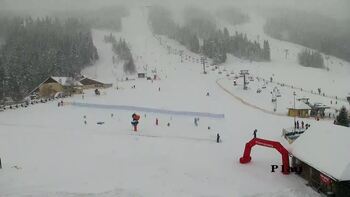 Плай 11 січня 2026 року, 2026-01-11 10:00