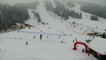 Плай 11 січня 2026 року, 2026-01-11 16:00