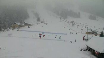 Płaj 12 styczeń 2026 rok, 2026-01-12 16:00