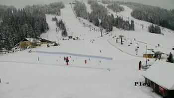 Плай 13 січня 2026 року, 2026-01-13 10:00