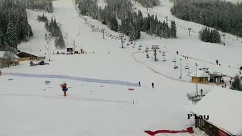 Плай 15 січня 2026 року, 2026-01-15 10:00