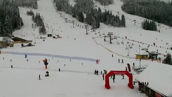 Плай 15 січня 2026 року, 2026-01-15 13:00