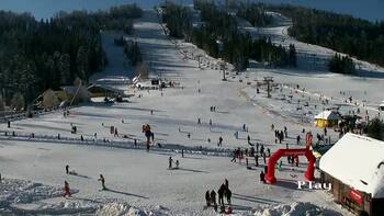 Плай 17 січня 2026 року, 2026-01-17 13:00