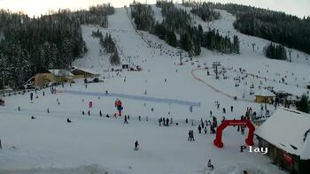 Плай 17 січня 2026 року, 2026-01-17 16:00