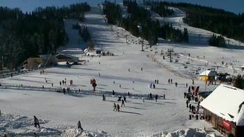 Плай 18 січня 2026 року, 2026-01-18 13:00