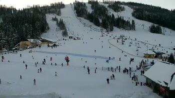 Плай 18 січня 2026 року, 2026-01-18 16:00