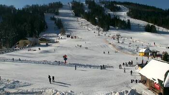 Плай 20 січня 2026 року, 2026-01-20 13:00