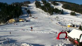 Плай 21 січня 2026 року, 2026-01-21 10:00