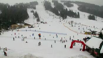 Плай 23 січня 2026 року, 2026-01-23 13:00