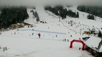 Плай 24 січня 2026 року, 2026-01-24 10:00