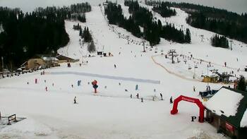 Плай 25 січня 2026 року, 2026-01-25 10:00