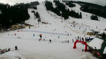 Плай 25 січня 2026 року, 2026-01-25 13:00