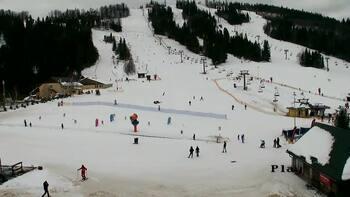 Плай 26 січня 2026 року, 2026-01-26 13:00