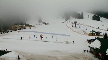 Плай 27 січня 2026 року, 2026-01-27 16:00