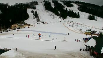 Плай 28 січня 2026 року, 2026-01-28 13:00