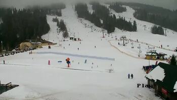 Плай 28 січня 2026 року, 2026-01-28 16:00