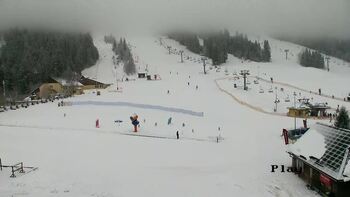 Плай 29 січня 2026 року, 2026-01-29 10:00