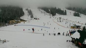 Плай 29 січня 2026 року, 2026-01-29 13:00