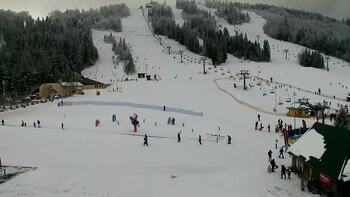 Плай 30 січня 2026 року, 2026-01-30 13:00