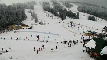 Плай 31 січня 2026 року, 2026-01-31 13:00