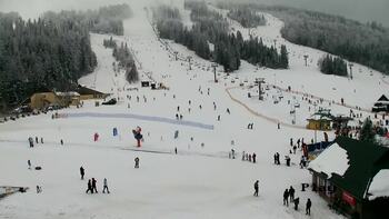 Плай 31 січня 2026 року, 2026-01-31 16:00