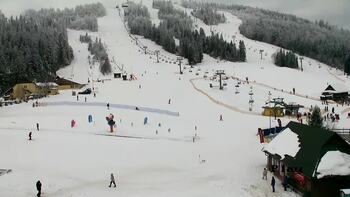 Plai 1 february 2026 year, 2026-02-01 10:00