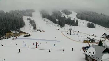 Plai 2 february 2026 year, 2026-02-02 10:00