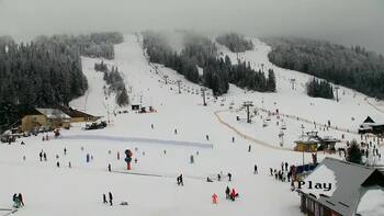 Plai 2 february 2026 year, 2026-02-02 13:00