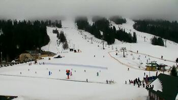 Plai 6 february 2026 year, 2026-02-06 10:00