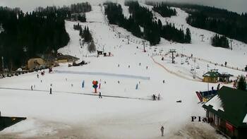 Plai 7 february 2026 year, 2026-02-07 10:00