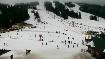 Plai 7 february 2026 year, 2026-02-07 13:00