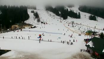 Plai 7 february 2026 year, 2026-02-07 16:00