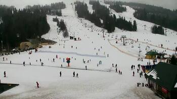 Plai 8 february 2026 year, 2026-02-08 13:00