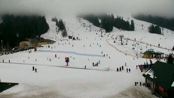 Plai 8 february 2026 year, 2026-02-08 16:00