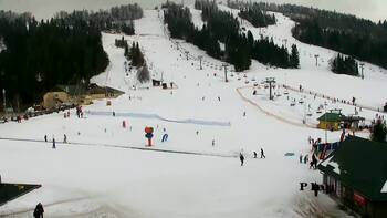 Plai 10 february 2026 year, 2026-02-10 13:00